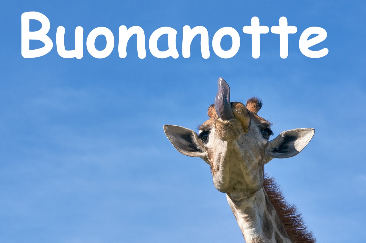  una giraffa con la lingua fuori e sopra la scritta buonanotte